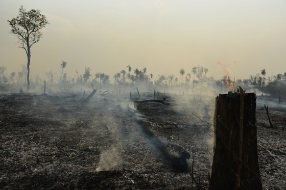 Smouldering stumps and ground following a rainforest wildfire in Porquinhos Indigenous Territory in Brazil's Maranhão state, in the south-eastern Amazon.