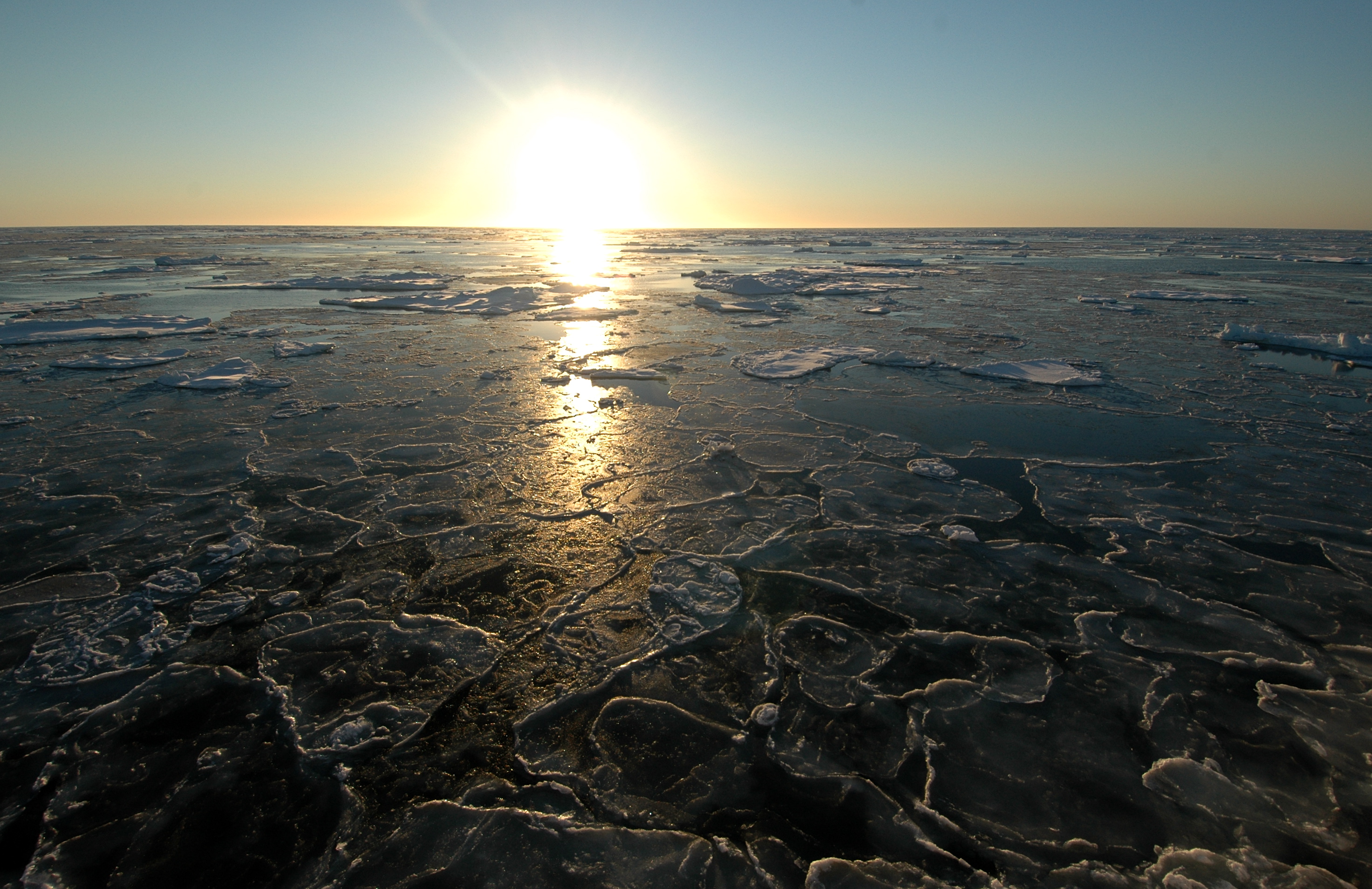 Pack ice on the Greenland Sea, east of Northern Greenland (72°N 18°W). Credit: Rita Wallaert (https://flic.kr/p/7V5GY) [CC BY-NC 2.0]